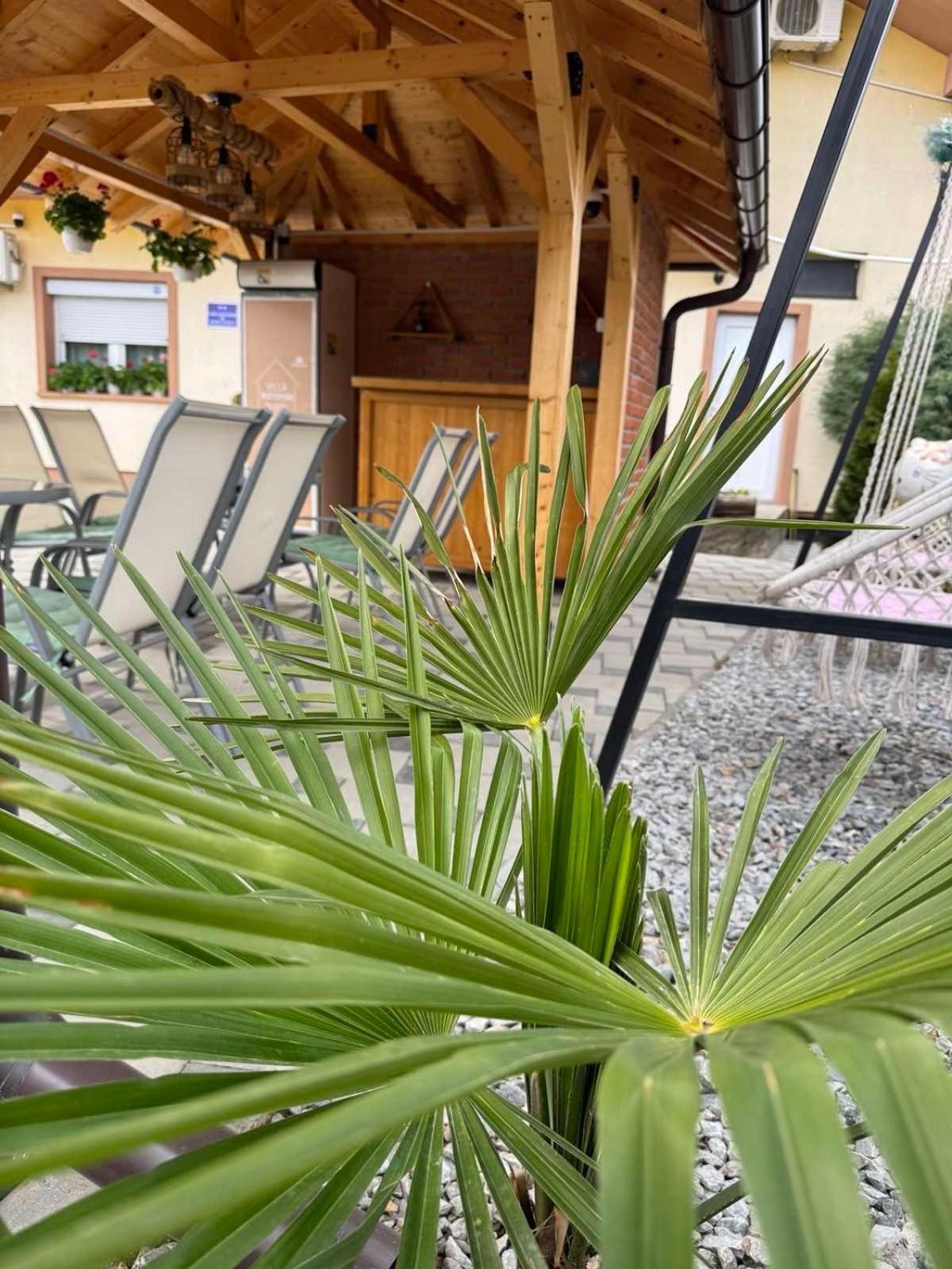 Villa Ristovski Ohrid Ngoại thất bức ảnh
